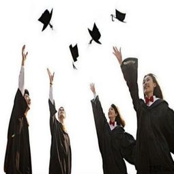 博雅教育产品 以通识涵养未来，最新展示与深度解析